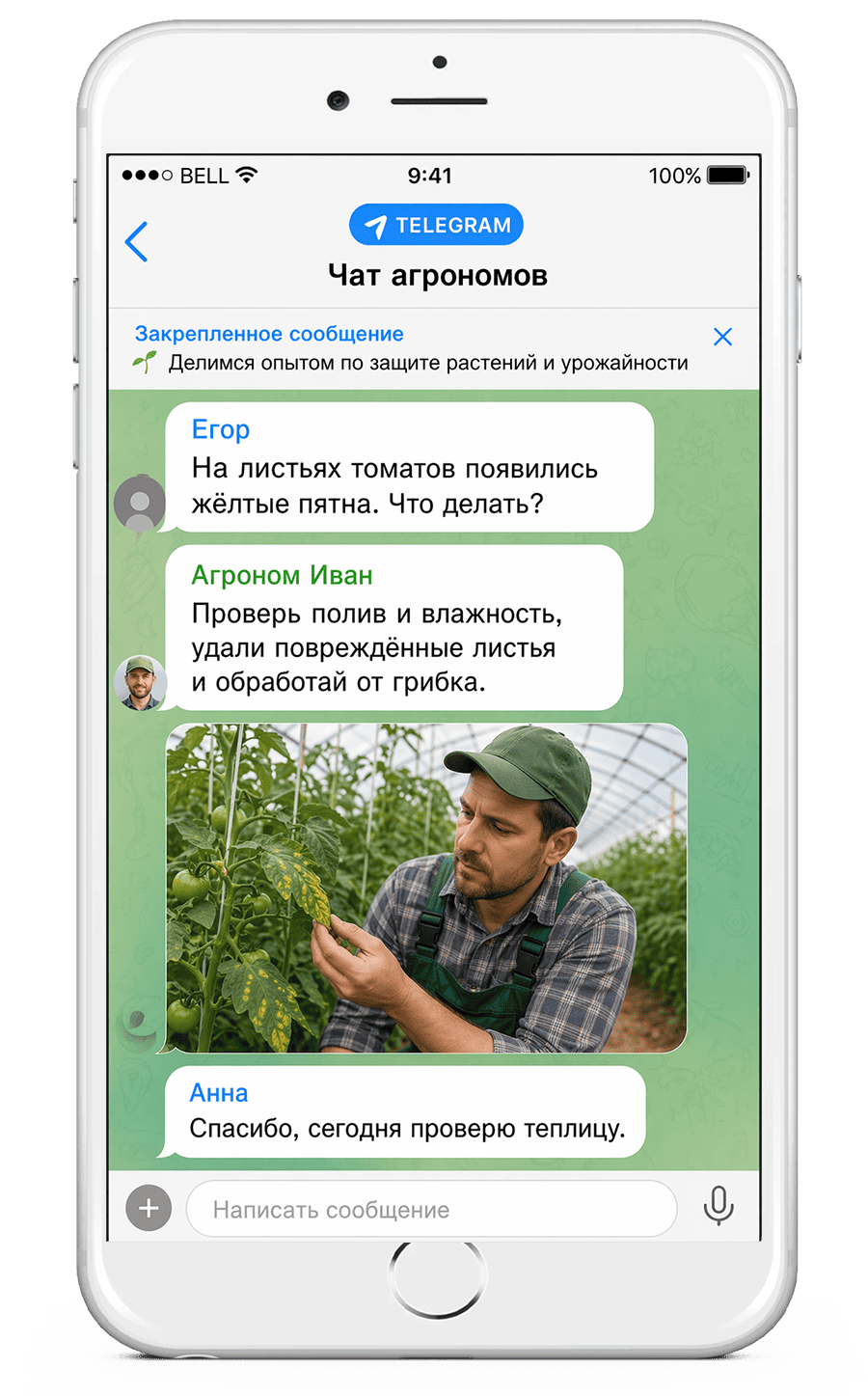 Скриншот чата выпускников курса агронома